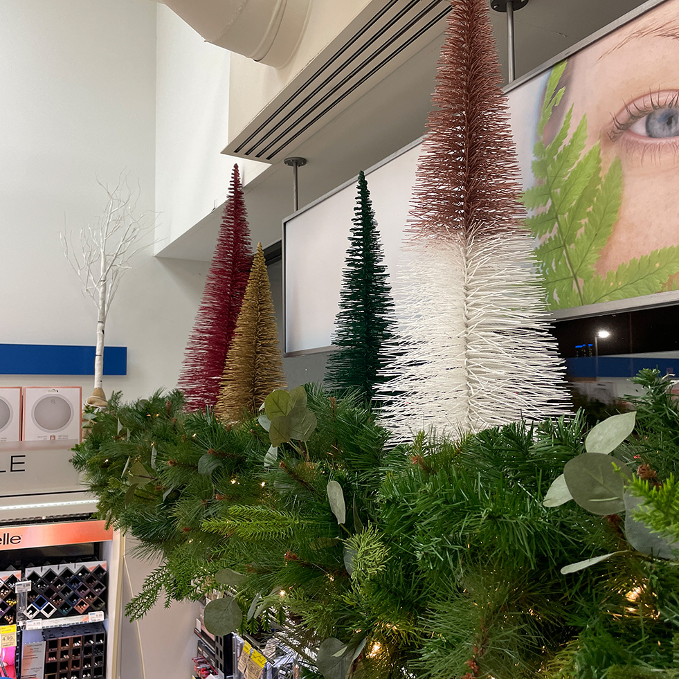 Brunet Halles Sainte-Foy